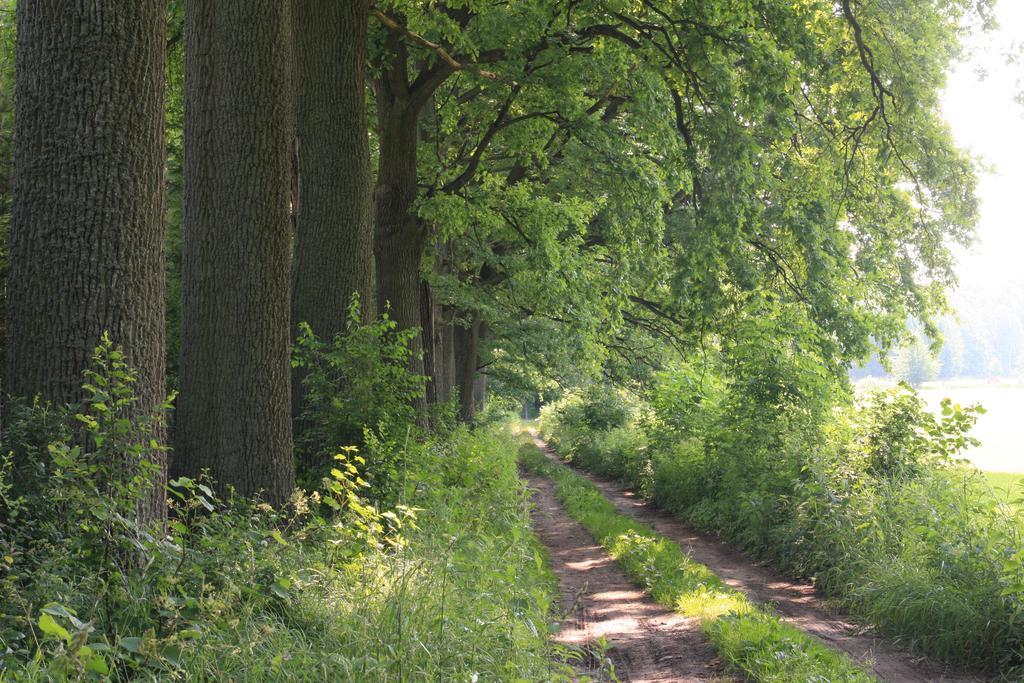 Palac Pozorty Bądki Exterior foto